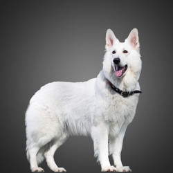 Similar image 1902167