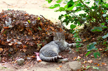 Similar image 1902208