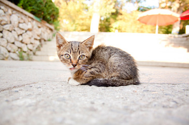 Similar image 1902219