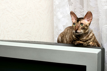 Similar image 1902220