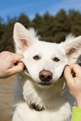 Similar image 1902229