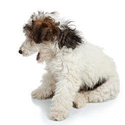 Similar image 1902228