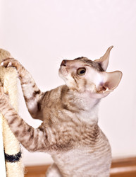 Similar image 1902232