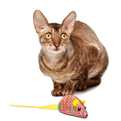 Similar image 1902241