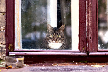 Similar image 1902248