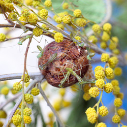 Similar image 1902322