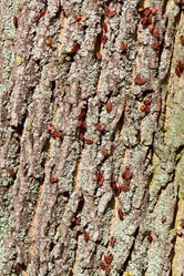 Similar image 1902327