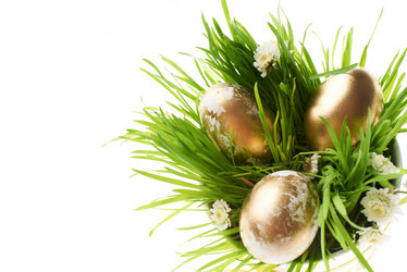 Similar image 1902961