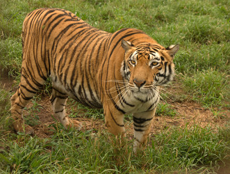 Similar image 1903457