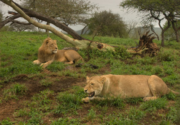 Similar image 1903459