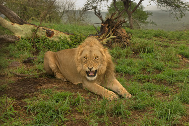 Similar image 1903468