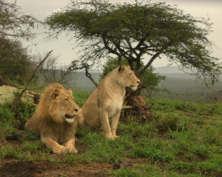 Similar image 1903470