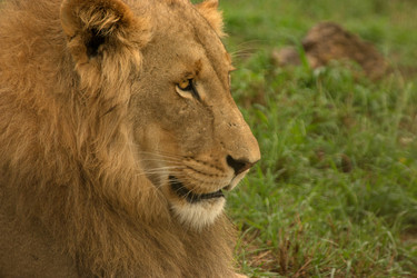 Similar image 1903488