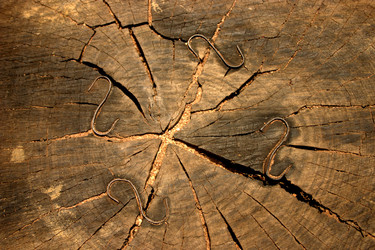 Similar image 1903490