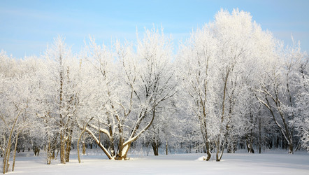 Similar image 1906886