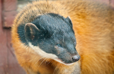 Similar image 1907162