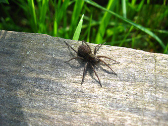 Similar image 1907467