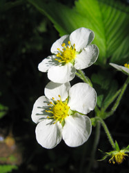 Similar image 1907550