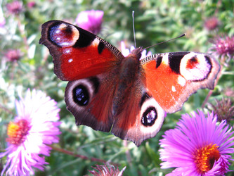 Similar image 1907551