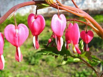 Similar image 1907554