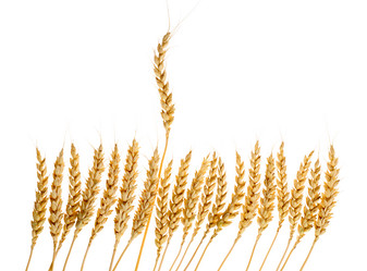 Similar image 1907653