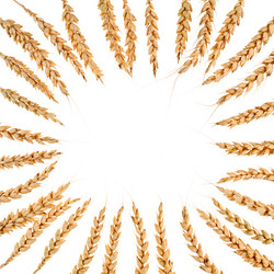 Similar image 1907657