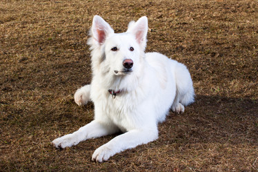 Similar image 1907719