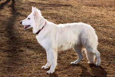 Similar image 1907722