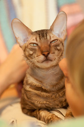 Similar image 1907728