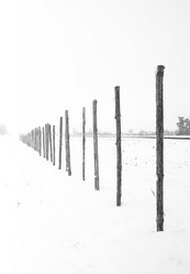 Similar image 1907731