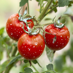 Similar image 1907734