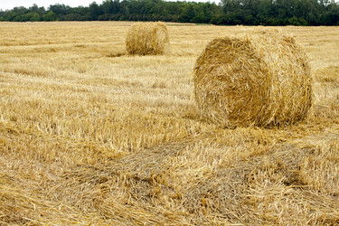 Similar image 1907737