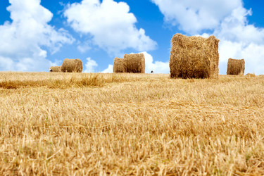 Similar image 1907740