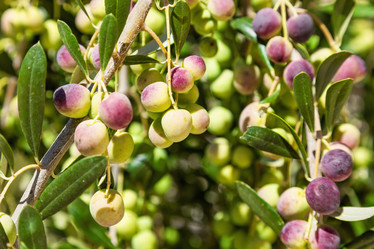 Similar image 1907923