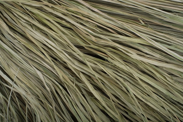 Similar image 1908014