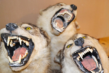 Similar image 1913658