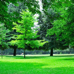 Similar image 1913673