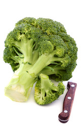 Similar image 1913729