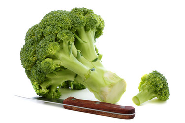 Similar image 1913737