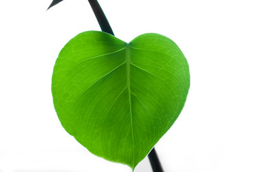 Similar image 1913814