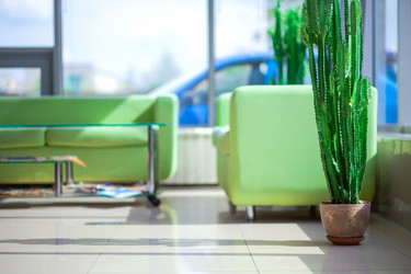 Similar image 1913816