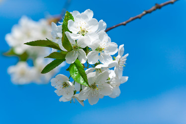 Similar image 1913823