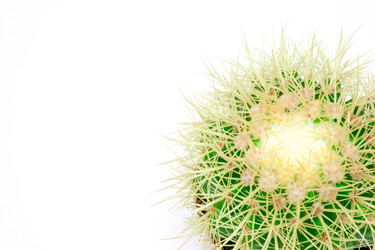 Similar image 1913824