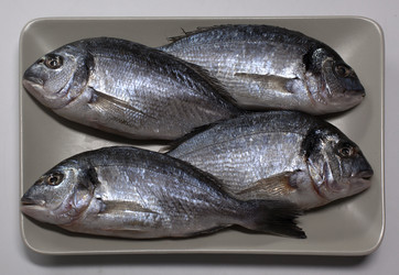 Similar image 1913864