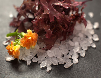 Similar image 1913873