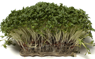 Similar image 1913884