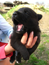 Similar image 1913924