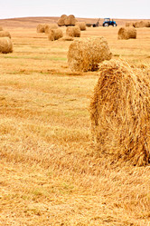 Similar image 1914203