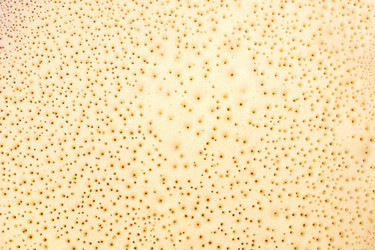 Similar image 1914257