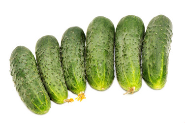 Similar image 1914354